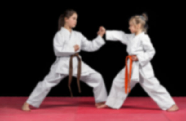 Little Dragons<br> Taekwondo Class<br> Fort Lauderdale<br> (Ages 3-6) 