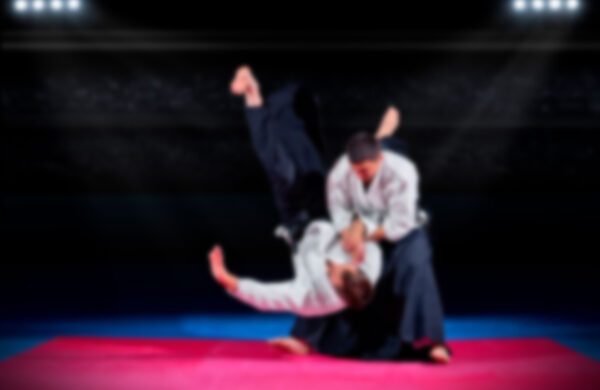 Adult Martial Arts<br> (Ages 18+)