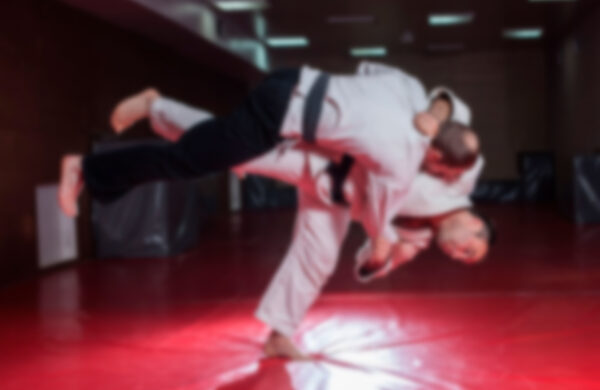 Taekwondo<br> Private Lessons<br> (Ages 4+)