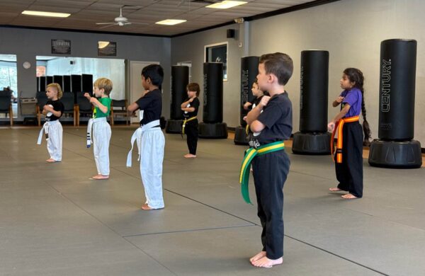 Little Dragons<br> Taekwondo Class<br> Fort Lauderdale<br> (Ages 3-6) 